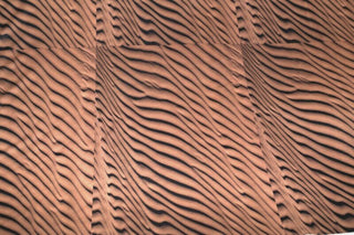 Fabric - Pfeka Nature Sand Dune 7